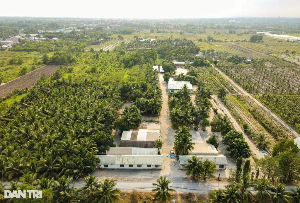 Chuyên gia góp ý phương án tách huyện Bình Chánh để hình thành 2 thành phố trực thuộc TPHCM (Ảnh: Hải Long).